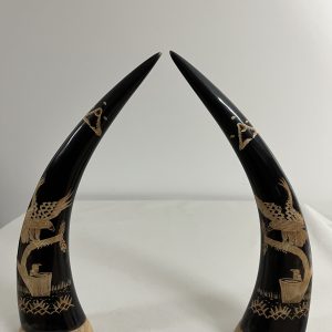 Buffalo Horns Carving From Cranbook
