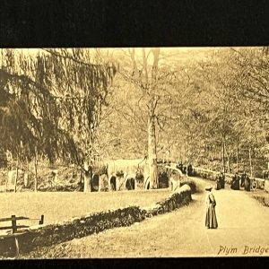 Vintage Postcard England 1920