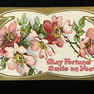 Vintage Postcard USA 1911