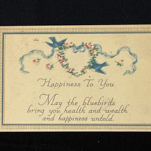 Vintage Postcard USA 1911