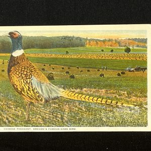 Vintage Postcard USA 1928