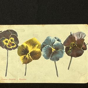 Vintage Postcard USA 1930